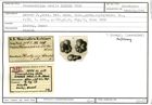 Karteikarte zum Holotyp von Truncatulina stella Karrer, 1868